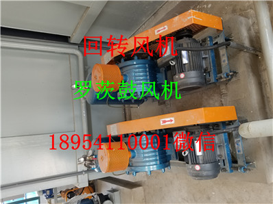 20190818_145316.jpg