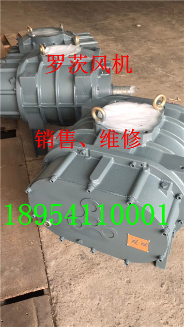 mmexport1557473513840.jpg