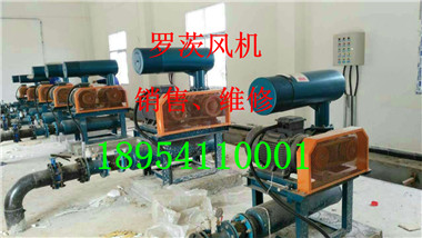 mmexport1494996342907.jpg