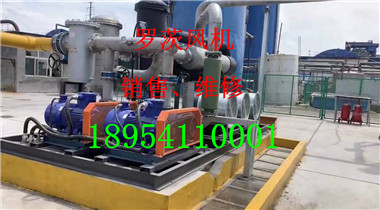 mmexport1565332840137.jpg