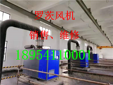 mmexport1573527997974.jpg