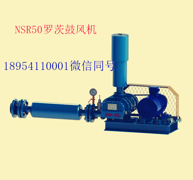 NSR50羅茨鼓風機.jpg