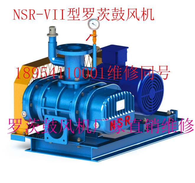 NSR-VII型羅茨鼓風機.jpg