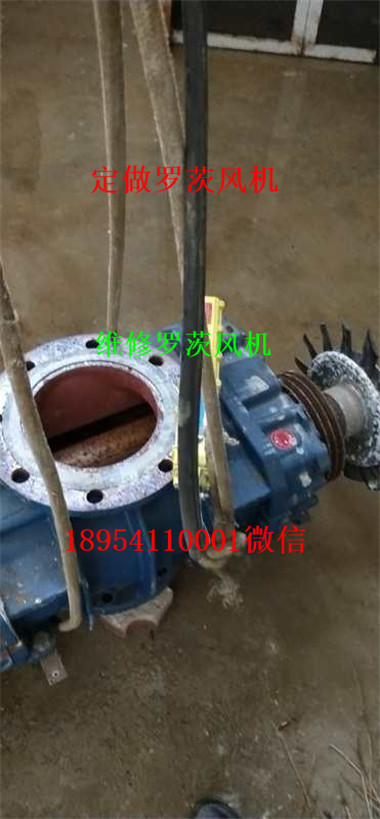 mmexport1553662275431.jpg