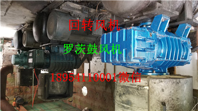 20191025_143245.jpg