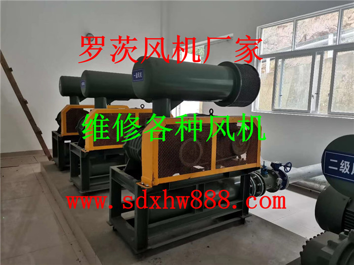 mmexport1599725368558.jpg
