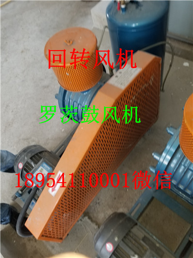 20190818_145121.jpg