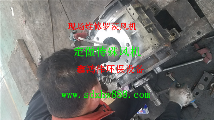 20190423_172640.jpg